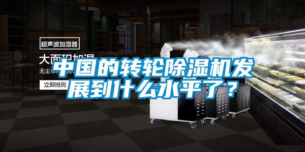 中國的轉輪除濕機發展到什么水平了?