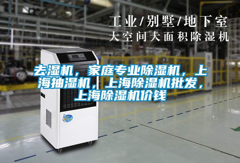 去濕機(jī)，家庭專業(yè)除濕機(jī)，上海抽濕機(jī)，上海除濕機(jī)批發(fā)，上海除濕機(jī)價錢