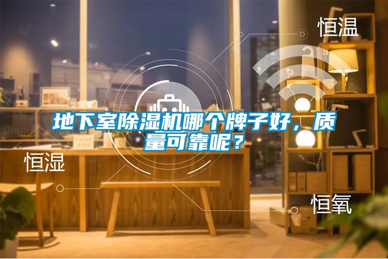 地下室除濕機哪個牌子好,質量可靠呢?
