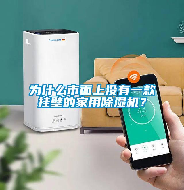為什么市面上沒有一款掛壁的家用除濕機？