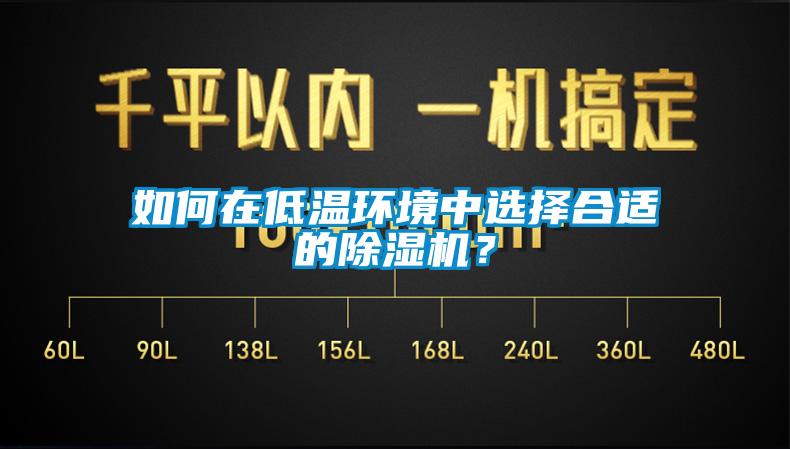 如何在低溫環境中選擇合適的除濕機？