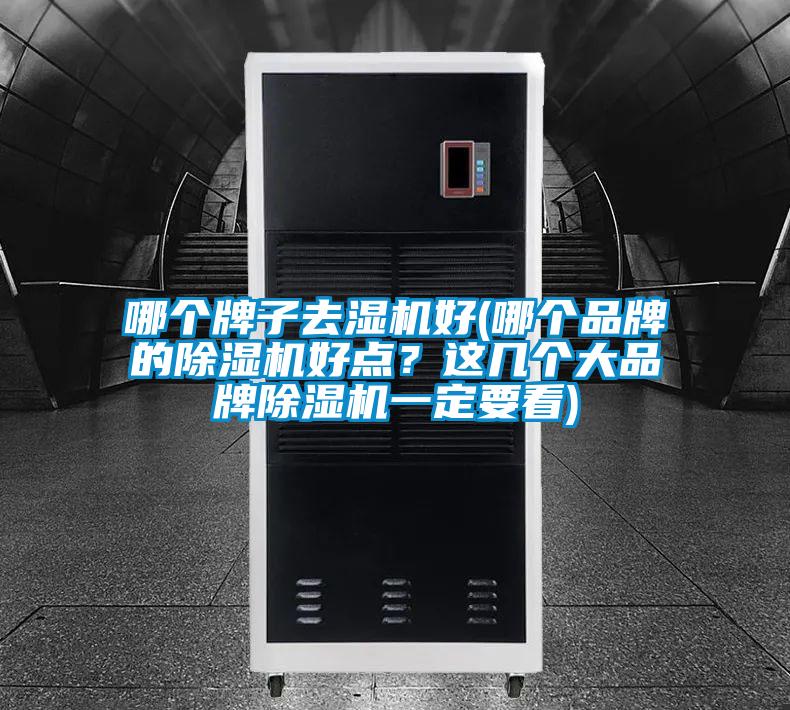 哪個牌子去濕機(jī)好(哪個品牌的除濕機(jī)好點？這幾個大品牌除濕機(jī)一定要看)