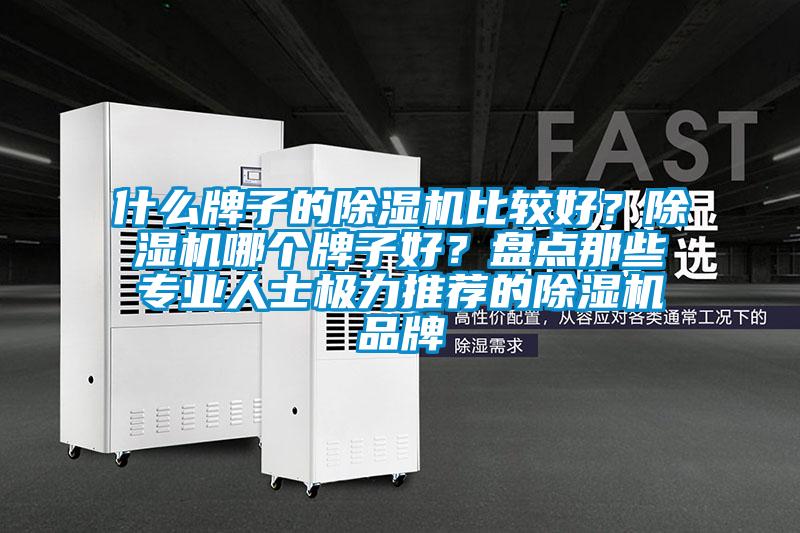 什么牌子的除濕機比較好？除濕機哪個牌子好？盤點那些專業人士極力推薦的除濕機品牌