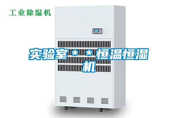 實(shí)驗(yàn)室**恒溫恒濕機(jī)