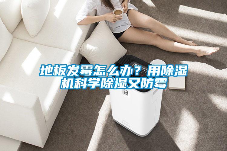 地板發霉怎么辦？用除濕機科學除濕又防霉