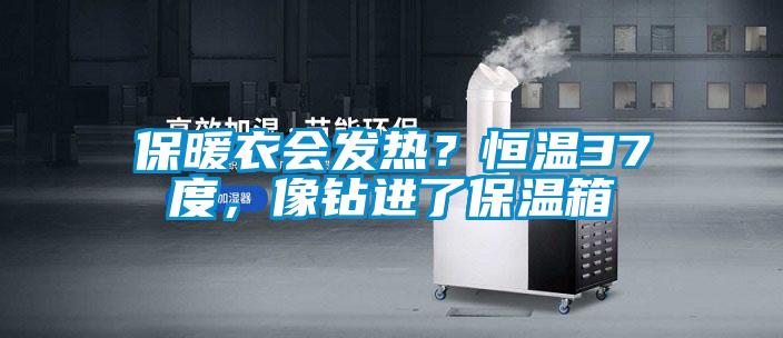 保暖衣會發(fā)熱?恒溫37度,像鉆進(jìn)了保溫箱
