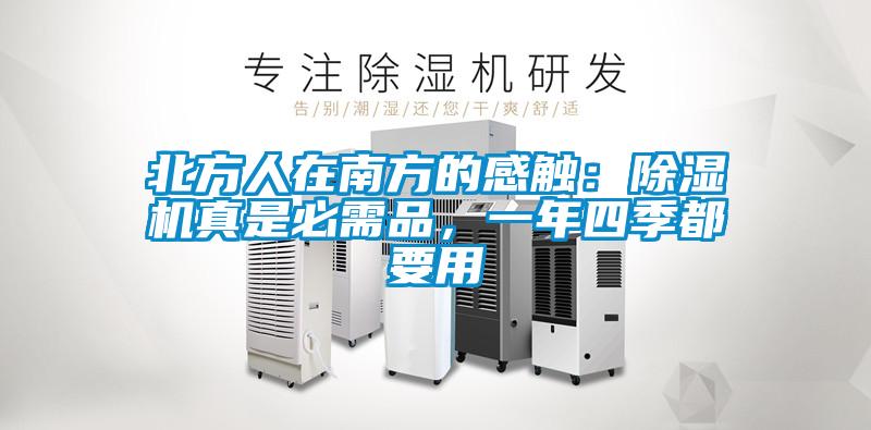 北方人在南方的感觸：除濕機真是必需品，一年四季都要用