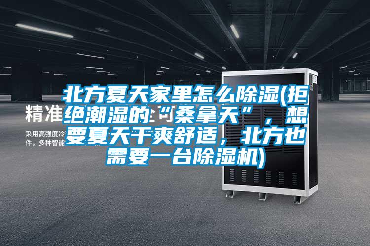 北方夏天家里怎么除濕(拒絕潮濕的“桑拿天”，想要夏天干爽舒適，北方也需要一臺除濕機)