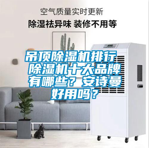 吊頂除濕機排行 除濕機十大品牌有哪些?安詩曼好用嗎?
