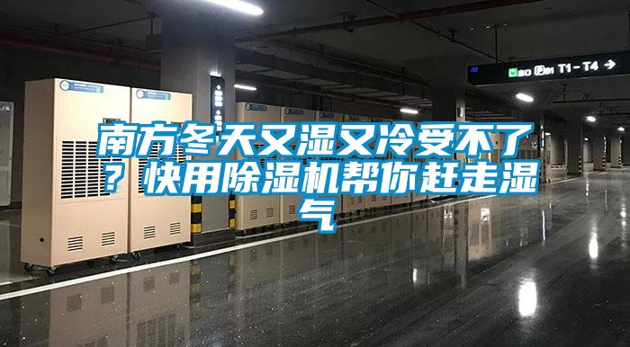 南方冬天又濕又冷受不了？快用除濕機幫你趕走濕氣