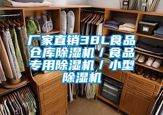 廠家直銷38L食品倉庫除濕機(jī)/食品專用除濕機(jī)/小型除濕機(jī)