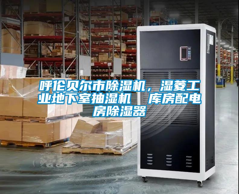 呼倫貝爾市除濕機，濕菱工業地下室抽濕機  庫房配電房除濕器
