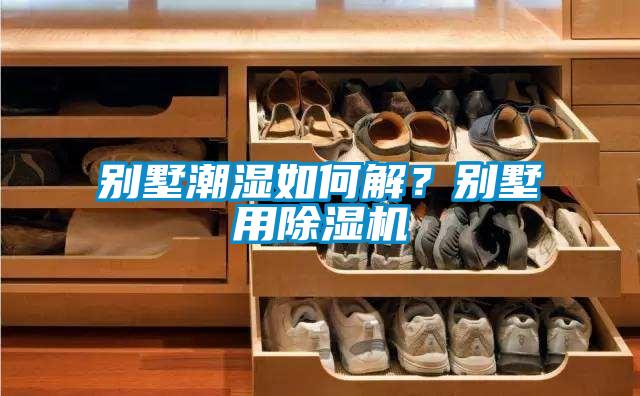 別墅潮濕如何解？別墅用除濕機(jī)