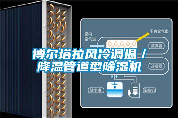 博爾塔拉風冷調溫/降溫管道型除濕機