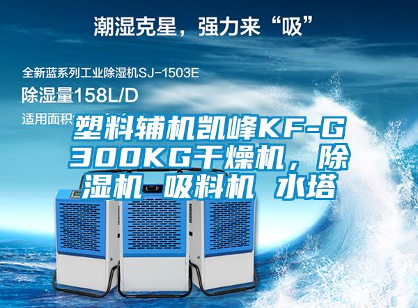 塑料輔機凱峰KF-G300KG干燥機，除濕機 吸料機 水塔