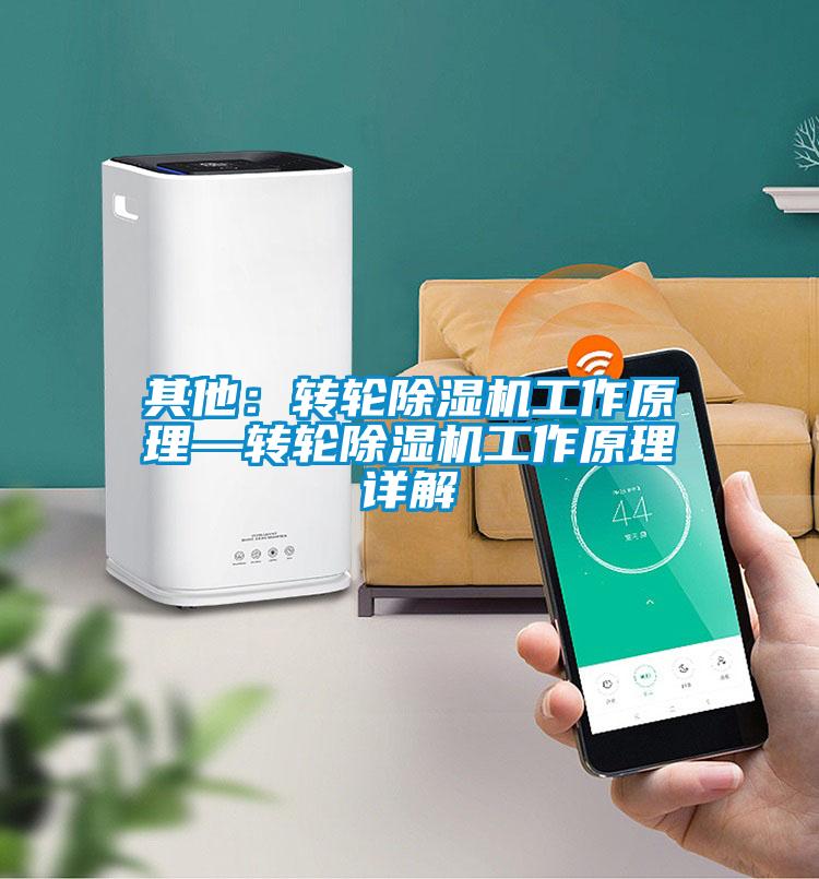 其他:轉輪除濕機工作原理—轉輪除濕機工作原理詳解