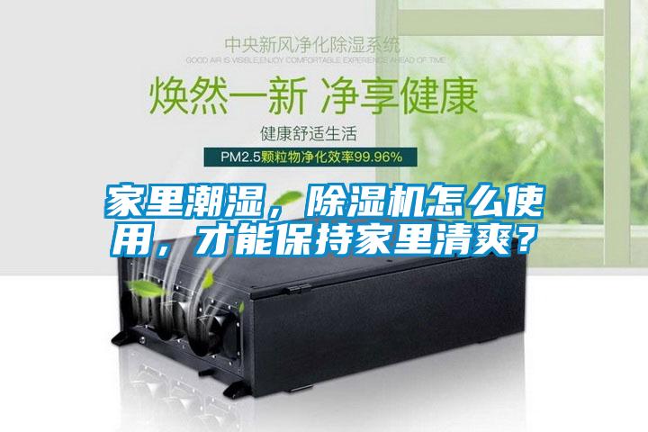 家里潮濕,除濕機(jī)怎么使用,才能保持家里清爽?