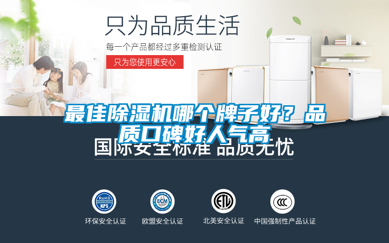 最佳除濕機(jī)哪個(gè)牌子好?品質(zhì)口碑好人氣高