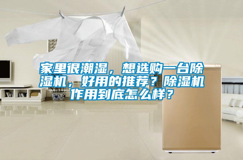 家里很潮濕，想選購一臺除濕機，好用的推薦？除濕機作用到底怎么樣？