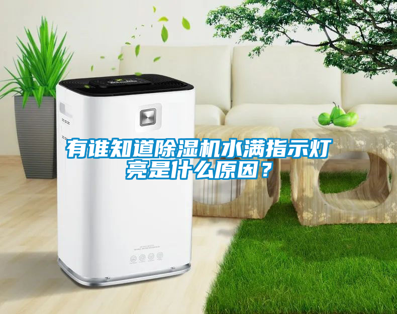 有誰知道除濕機水滿指示燈亮是什么原因？