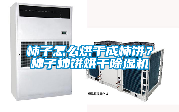 柿子怎么烘干成柿餅？柿子柿餅烘干除濕機