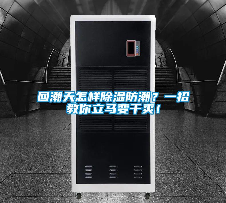 回潮天怎樣除濕防潮?一招教你立馬變干爽!