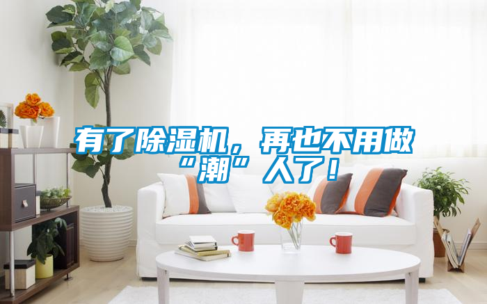 有了除濕機(jī),再也不用做“潮”人了!