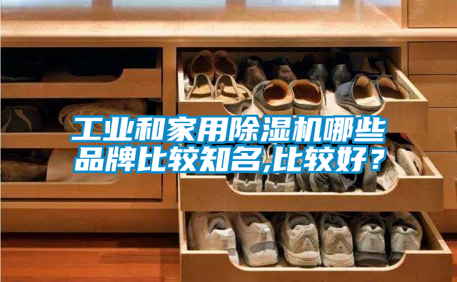 工業和家用除濕機哪些品牌比較知名,比較好？