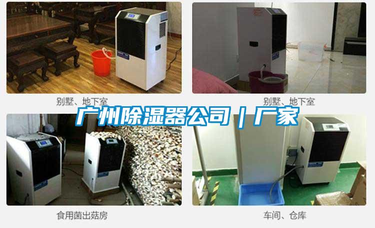 廣州除濕器公司|廠家