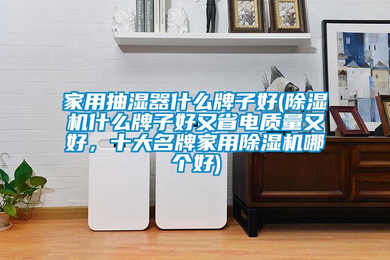 家用抽濕器什么牌子好(除濕機什么牌子好又省電質量又好，十大名牌家用除濕機哪個好)