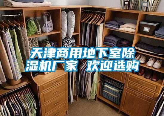 天津商用地下室除濕機(jī)廠家 歡迎選購(gòu)