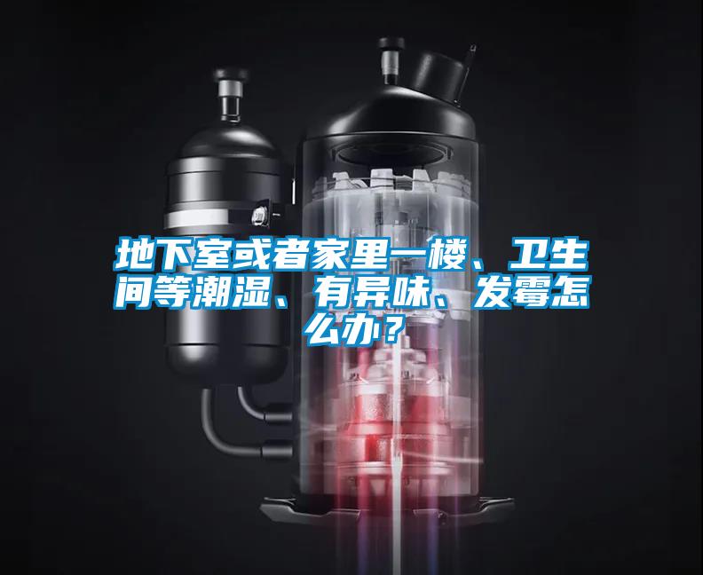 地下室或者家里一樓、衛(wèi)生間等潮濕、有異味、發(fā)霉怎么辦?