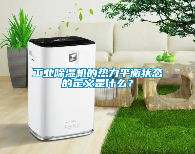 工業(yè)除濕機的熱力平衡狀態(tài)的定義是什么?