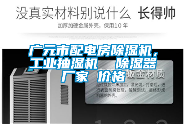 廣元市配電房除濕機(jī),工業(yè)抽濕機(jī) 除濕器廠家 價(jià)格