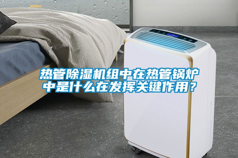 熱管除濕機組中在熱管鍋爐中是什么在發揮關鍵作用?