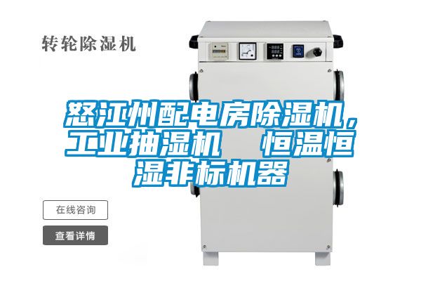 怒江州配電房除濕機，工業(yè)抽濕機  恒溫恒濕非標(biāo)機器