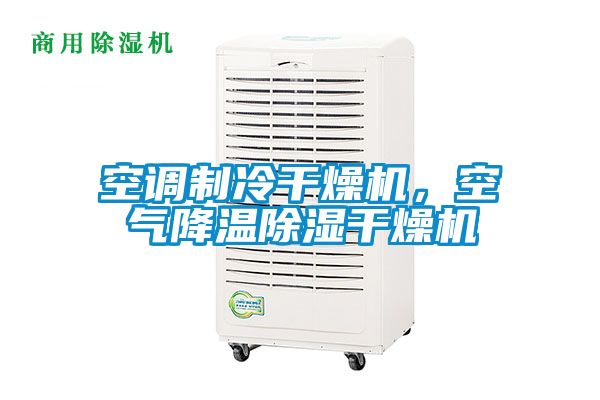 空調制冷干燥機，空氣降溫除濕干燥機