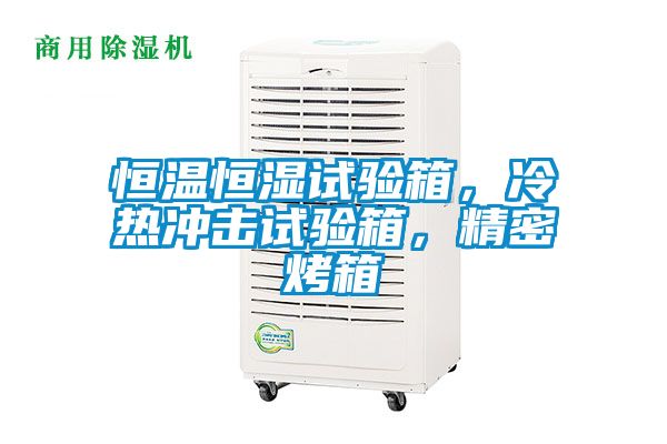恒溫恒濕試驗(yàn)箱,冷熱沖擊試驗(yàn)箱,精密烤箱