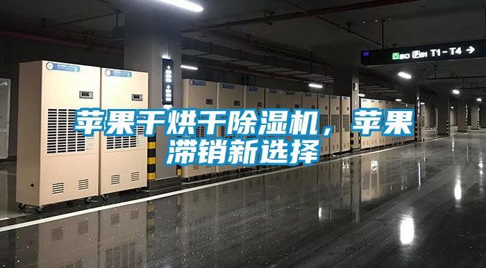 蘋果干烘干除濕機，蘋果滯銷新選擇