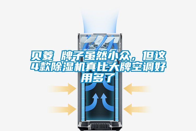 貝菱 牌子雖然小眾,但這4款除濕機真比大牌空調好用多了