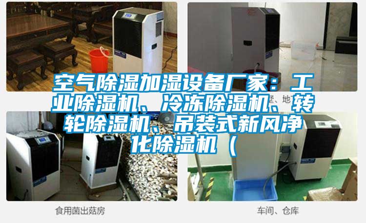 空氣除濕加濕設(shè)備廠(chǎng)家:工業(yè)除濕機(jī)、冷凍除濕機(jī)、轉(zhuǎn)輪除濕機(jī)、吊裝式新風(fēng)凈化除濕機(jī)(