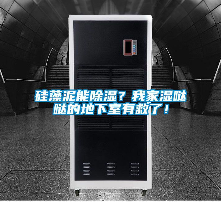 硅藻泥能除濕？我家濕噠噠的地下室有救了！