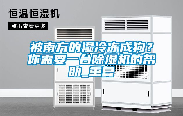 被南方的濕冷凍成狗?你需要一臺除濕機的幫助_重復