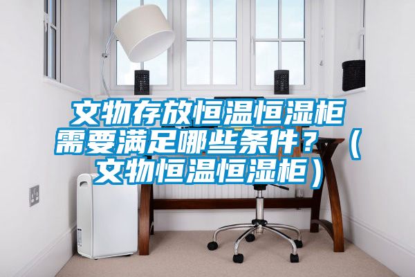 文物存放恒溫恒濕柜需要滿足哪些條件？（文物恒溫恒濕柜）