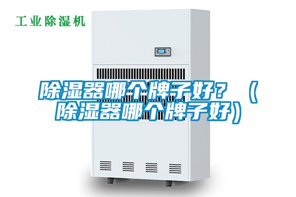 除濕器哪個(gè)牌子好?(除濕器哪個(gè)牌子好)