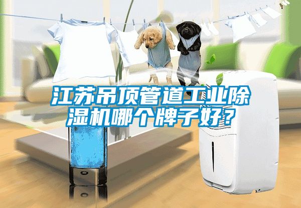 江蘇吊頂管道工業除濕機哪個牌子好?