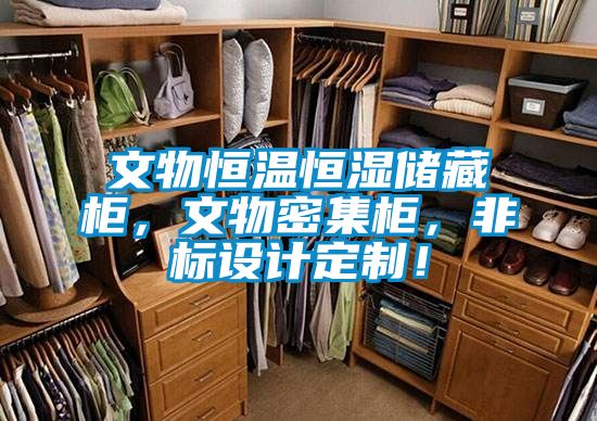 文物恒溫恒濕儲藏柜,文物密集柜,非標設計定制!