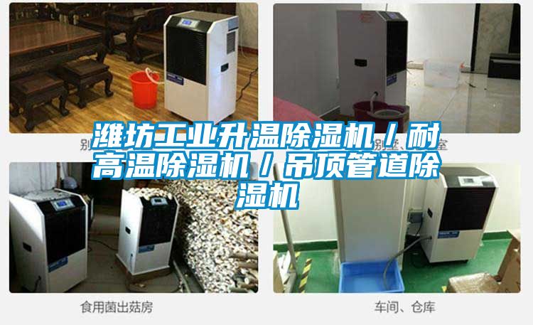 濰坊工業升溫除濕機/耐高溫除濕機/吊頂管道除濕機