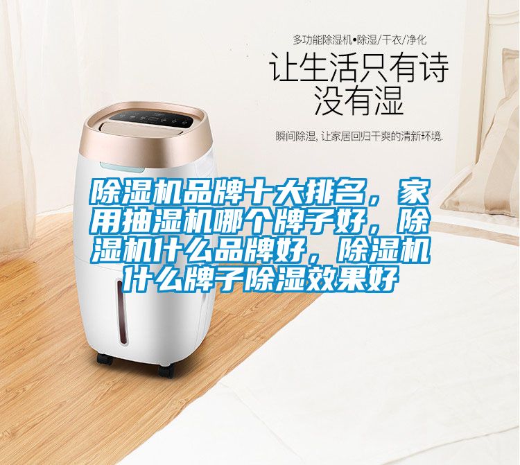 除濕機(jī)品牌十大排名,家用抽濕機(jī)哪個(gè)牌子好,除濕機(jī)什么品牌好,除濕機(jī)什么牌子除濕效果好