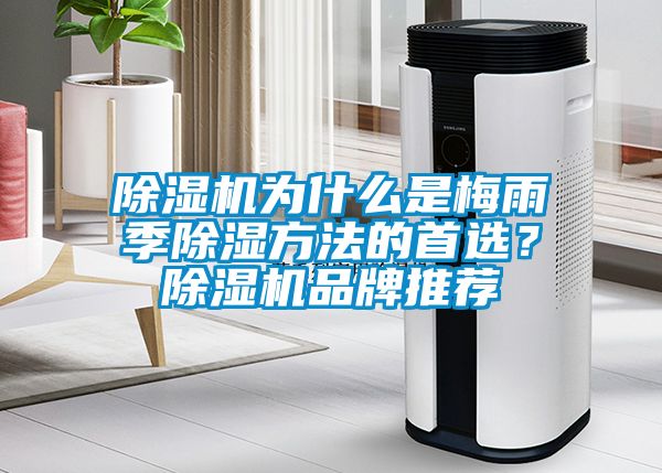 除濕機為什么是梅雨季除濕方法的首選？除濕機品牌推薦
